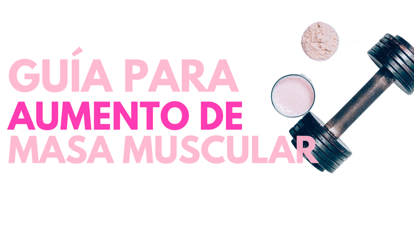 Guía de Alimentación Aumento de Masa Muscular